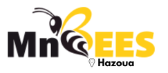 MnBees Tozeur - Hazoua